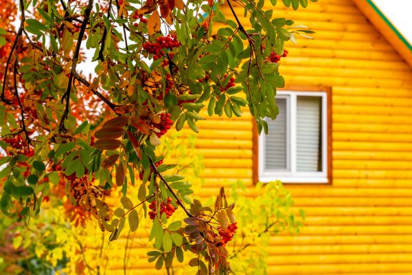 Garden Window Replacement in Aledo